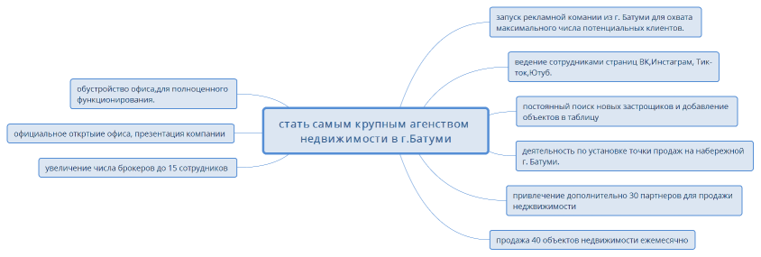стать самым крупным агенством недвижимости в г.Батуми