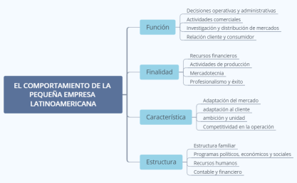 EL COMPORTAMIENTO DE LA PEQUEÑA EMPRESA LATINOAMERICANA