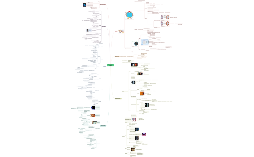 PATOLOGIE DELLA CORNEA