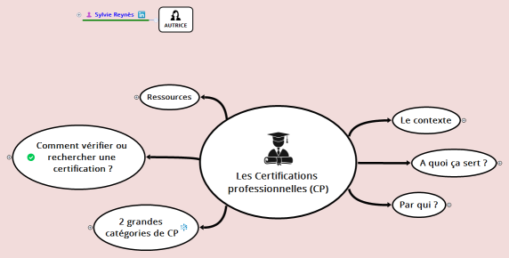 Les Certifications professionnelles (CP)