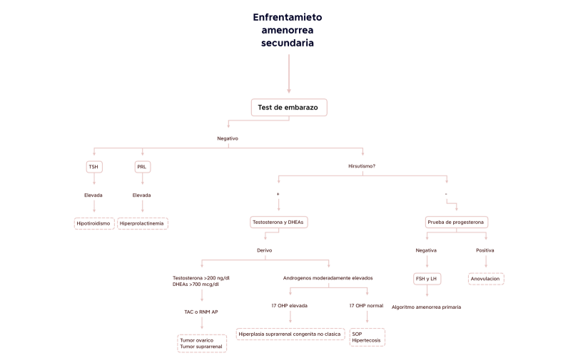 Enfrentamieto amenorrea secundaria 