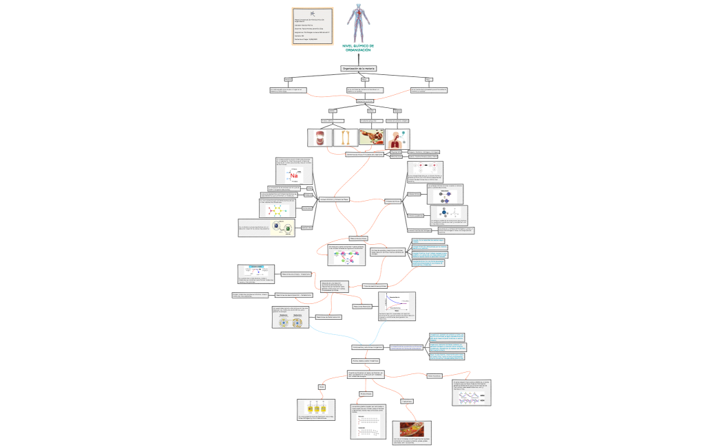 NIVEL QUÍMICO DE ORGANIZACIÓN 
