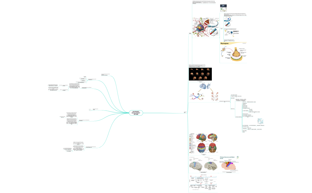 Movement Development 