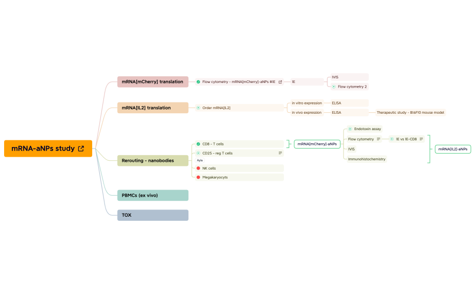 Planning_mRNA-aNPs_In_Vivo_Study_2023-2024.xmind