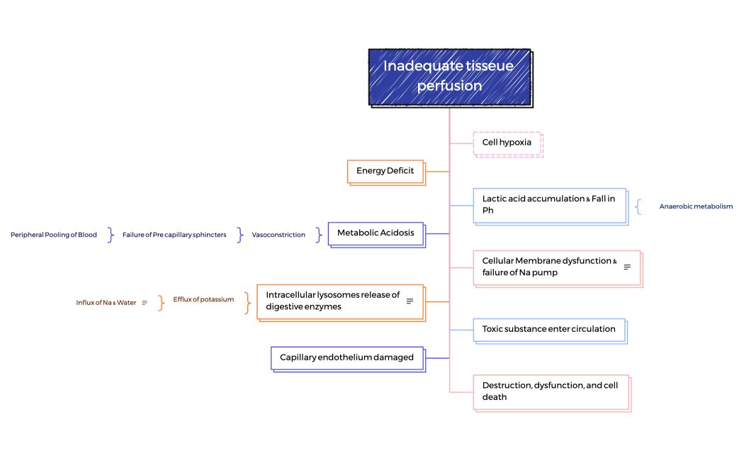 Pathophysiology of SHock