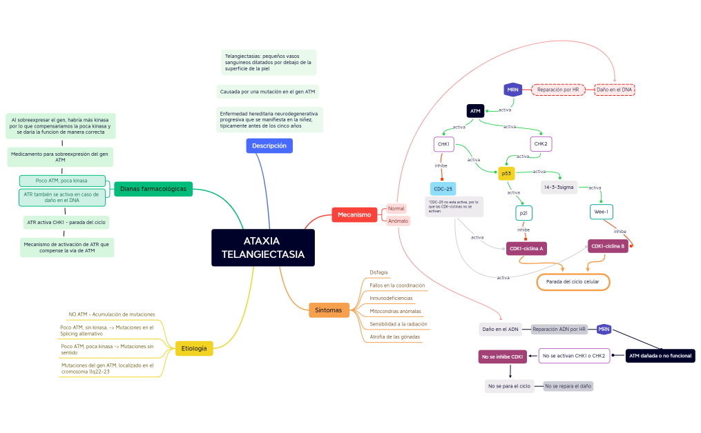 ATAXIA TELANGIECTASIA