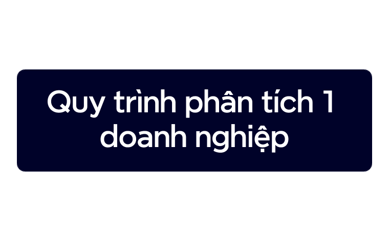 Quy trình phân tích 1 doanh nghiệp