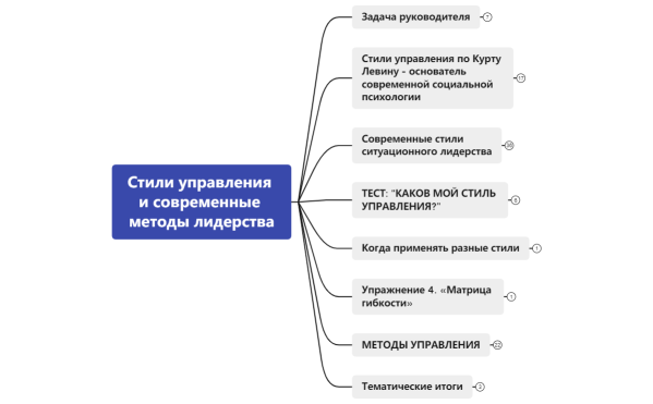 Стили управления и современные методы лидерства