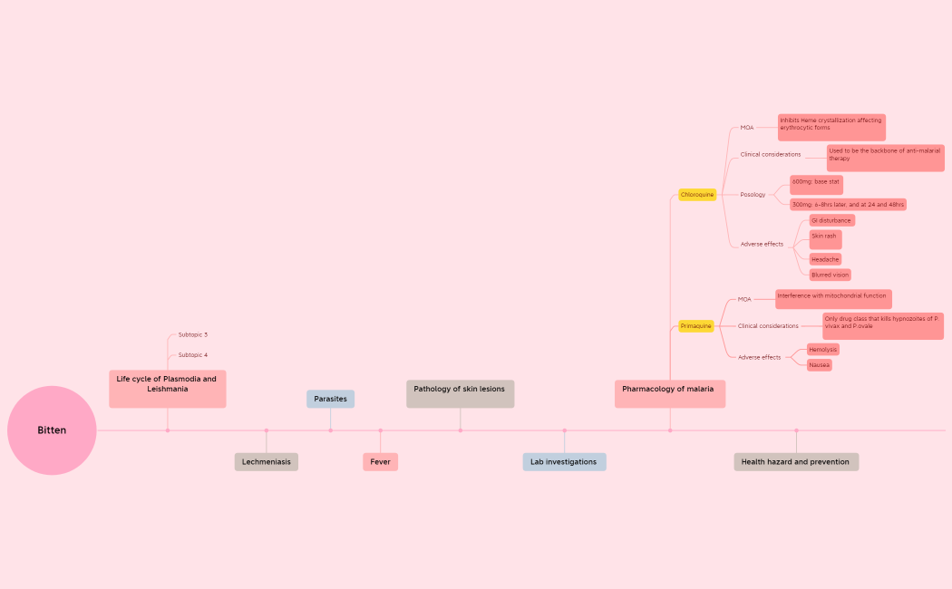 Mindful_Pause-nQf9Sc-M1SGpeB-14391