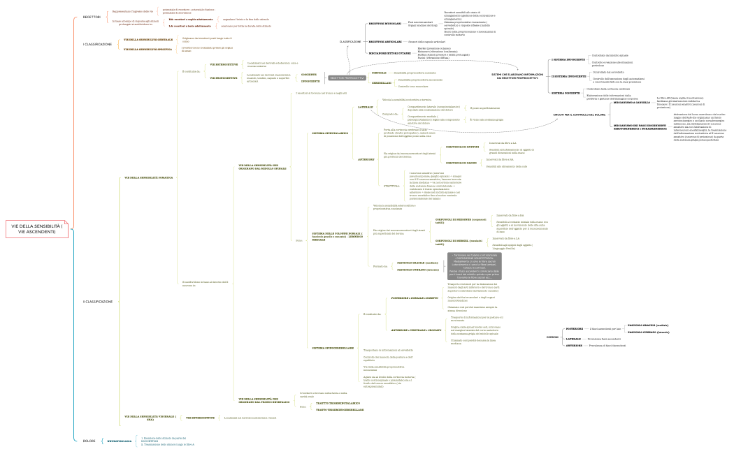 VIE DELLA SENSIBILITÀ