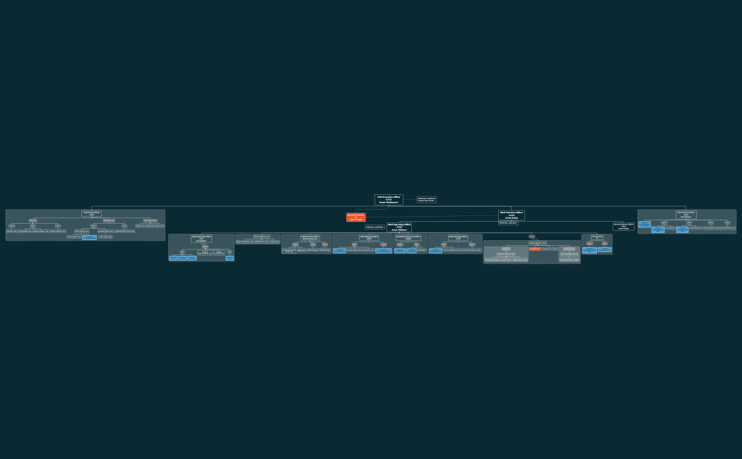 Organization structure (1)