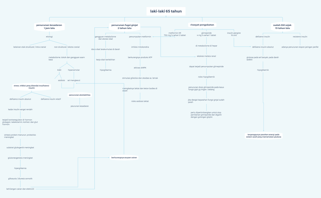 petkon diabetes dgn komplikasi