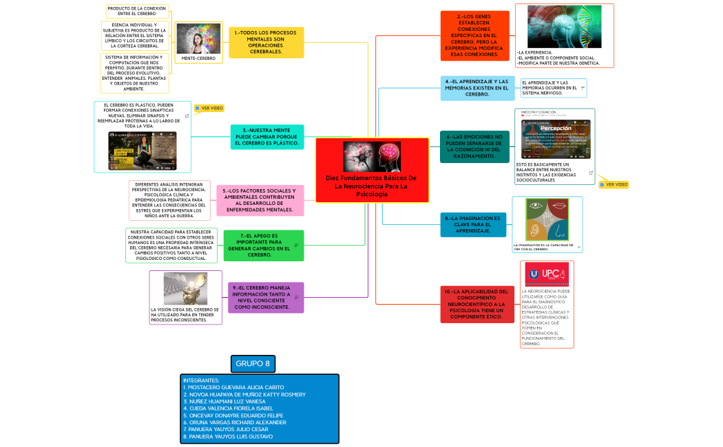 Diez Fundamentos Básicos de la Neurociencia para la Psicología