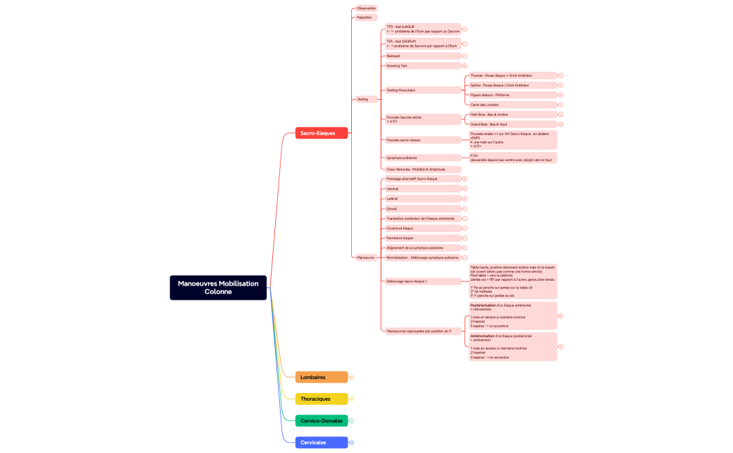 Manoeuvres Mobilisation Colonne