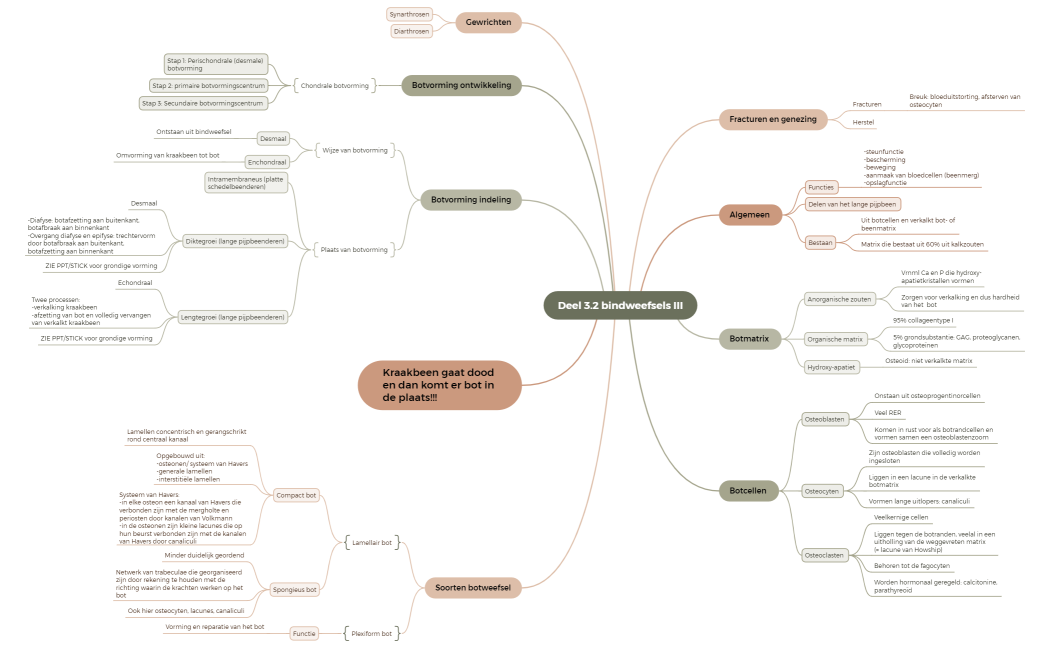 Deel 3.2 bindweefsel III