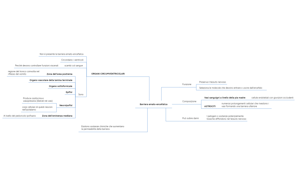 Sistema nervoso (parte iniziale)