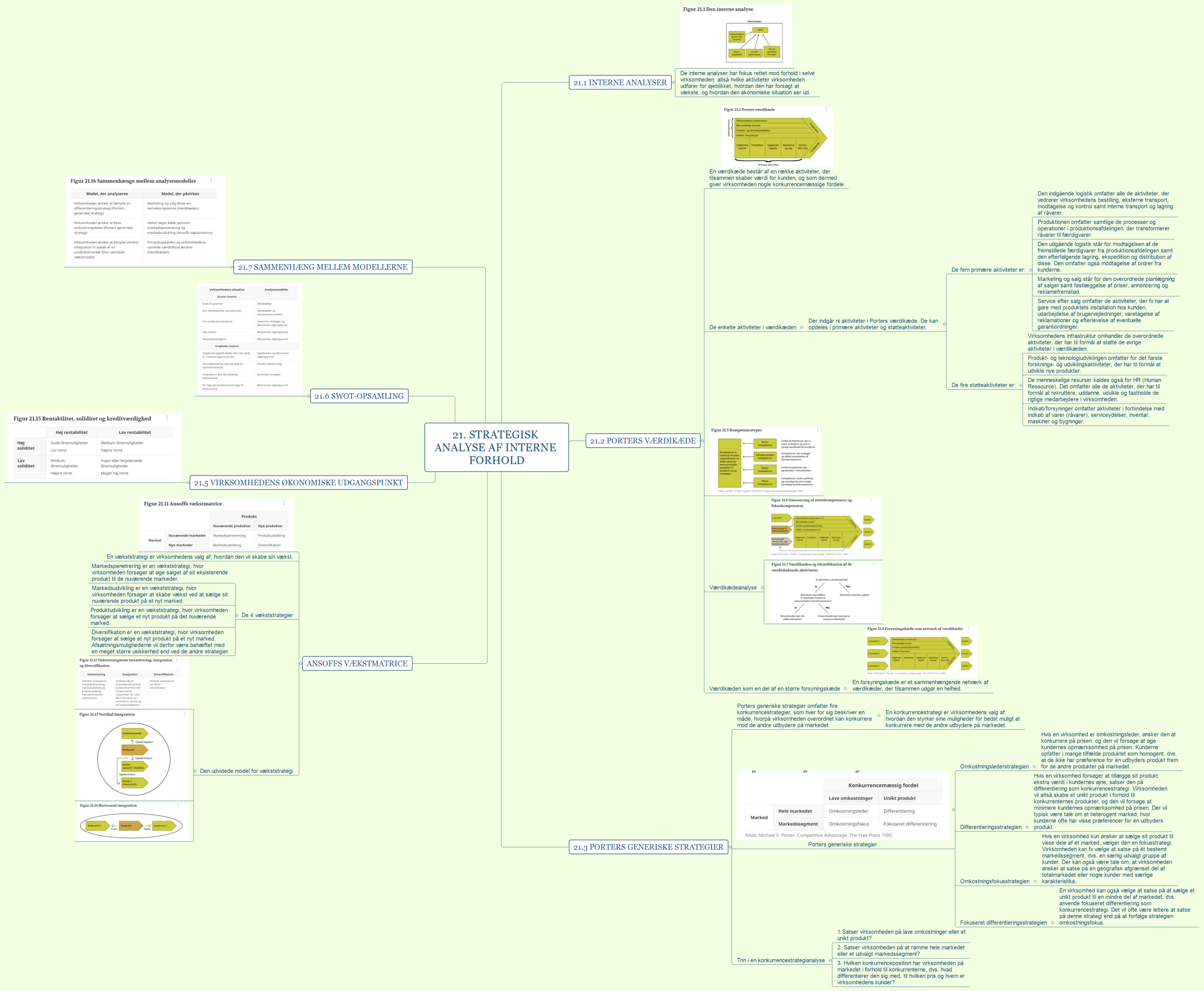 21. Strategisk analyse af interne forhold