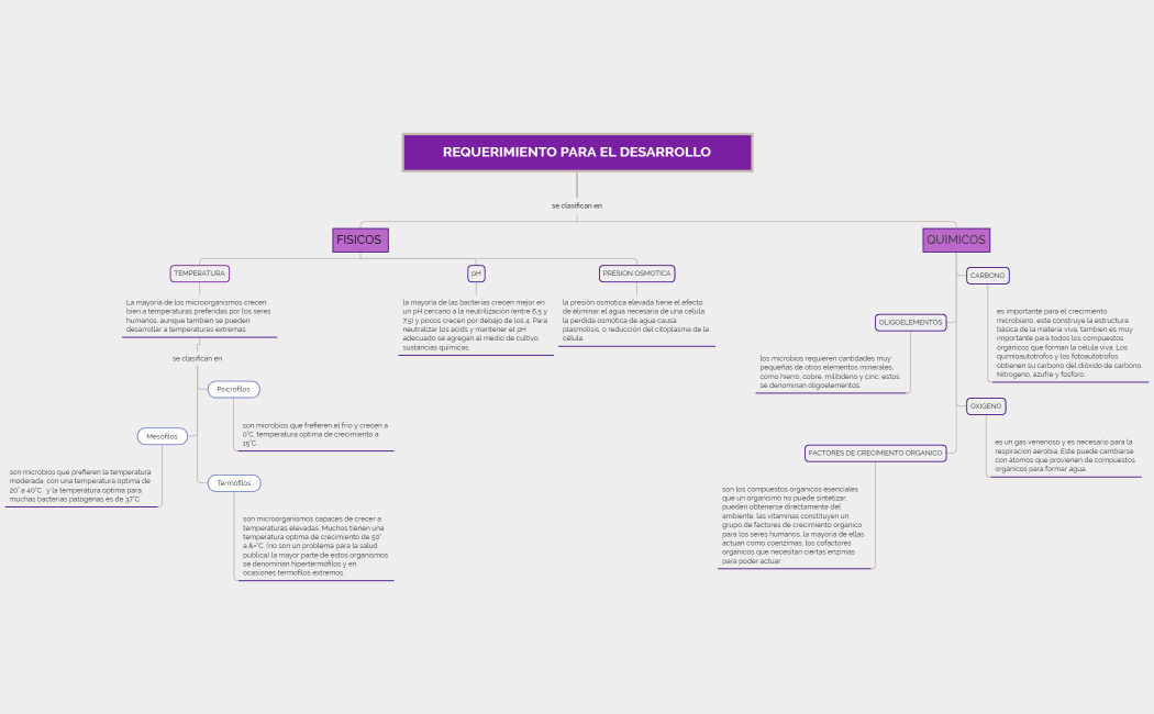 REQUERIMIENTO PARA EL DESARROLLO
