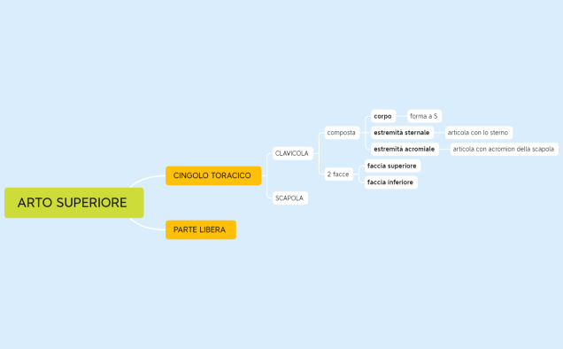 ARTO SUPERIORE 