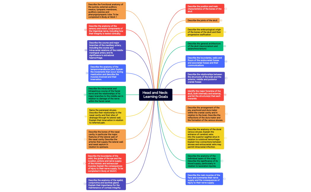 Head and Neck Learning Goals
