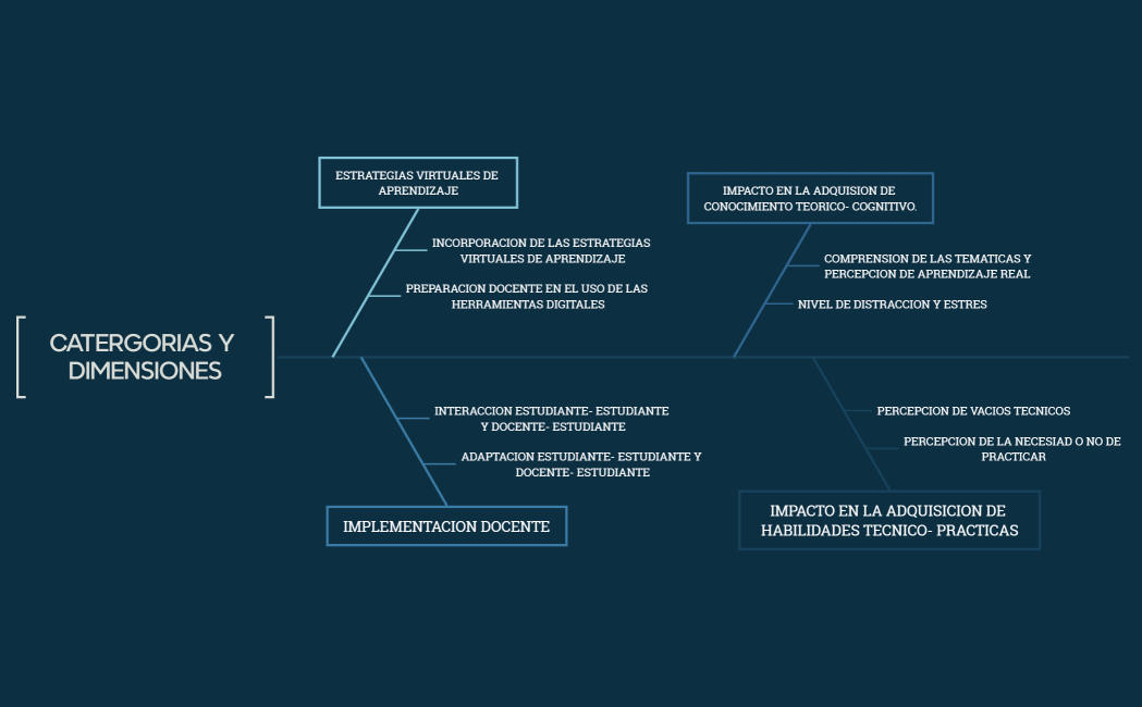 CATERGORIAS Y DIMENSIONES