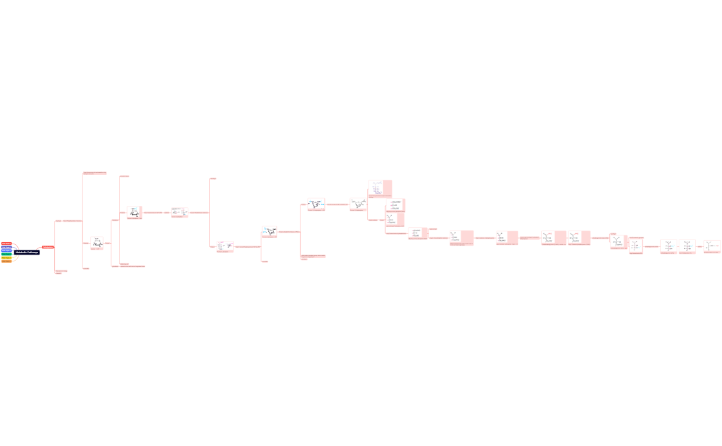 Metabolic Pathways