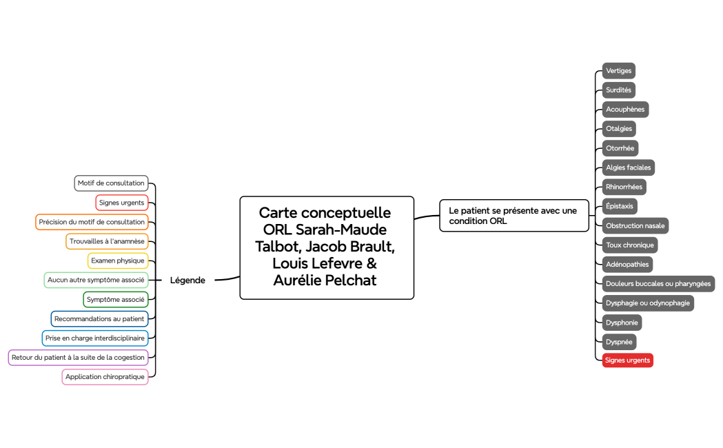 Carte conceptuelle ORL