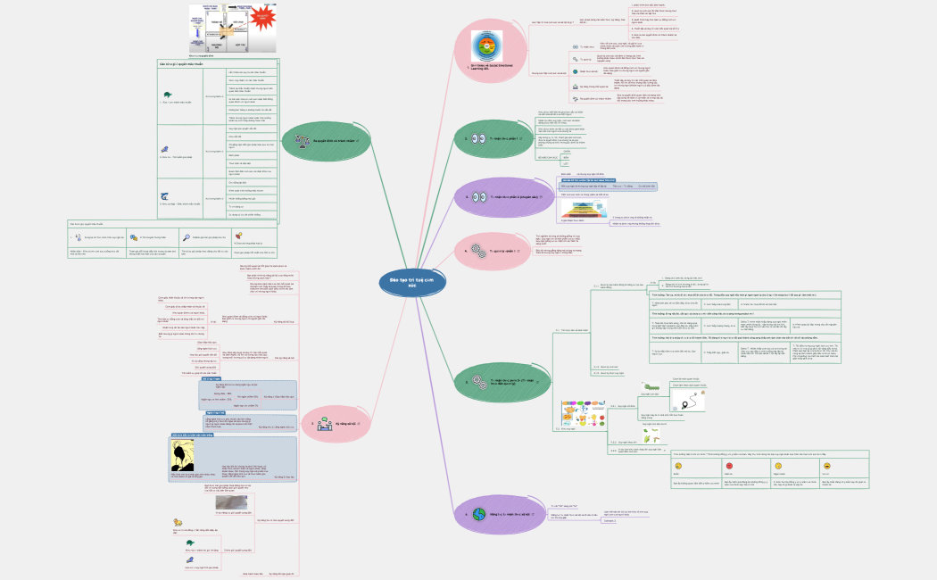Đào tạo trí tuệ cảm xúc
