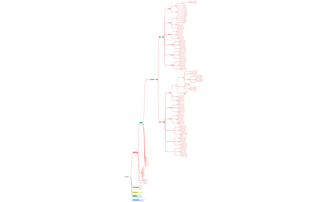 Jovem Aprendiz DCPOS