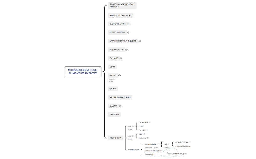 MICROBIOLOGIA DEGLI ALIMENTI FERMENTATI