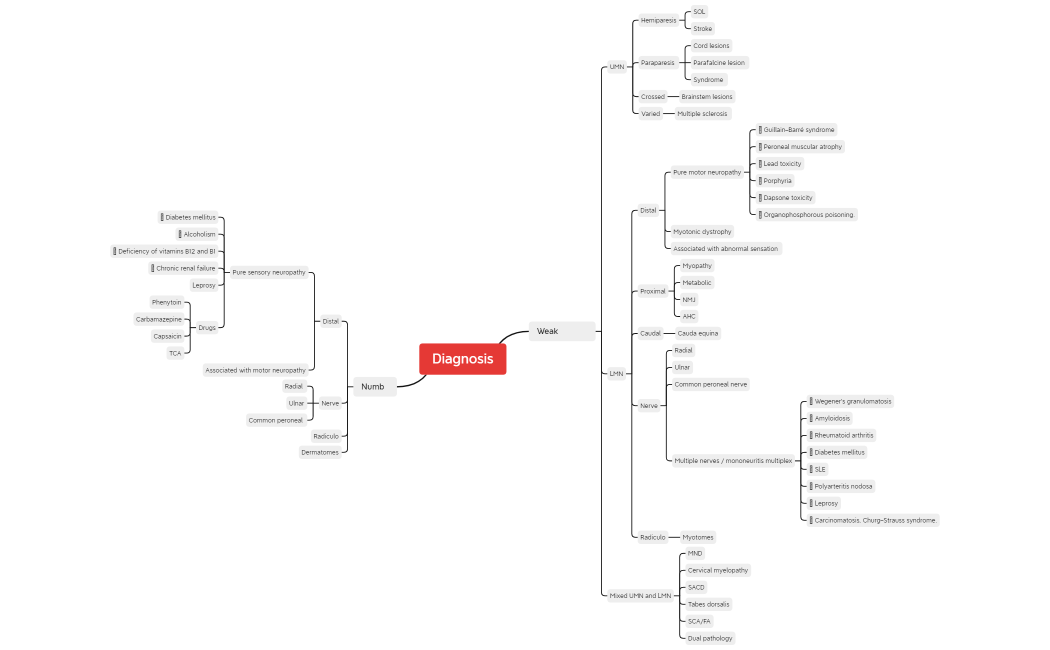 Neurology Examination