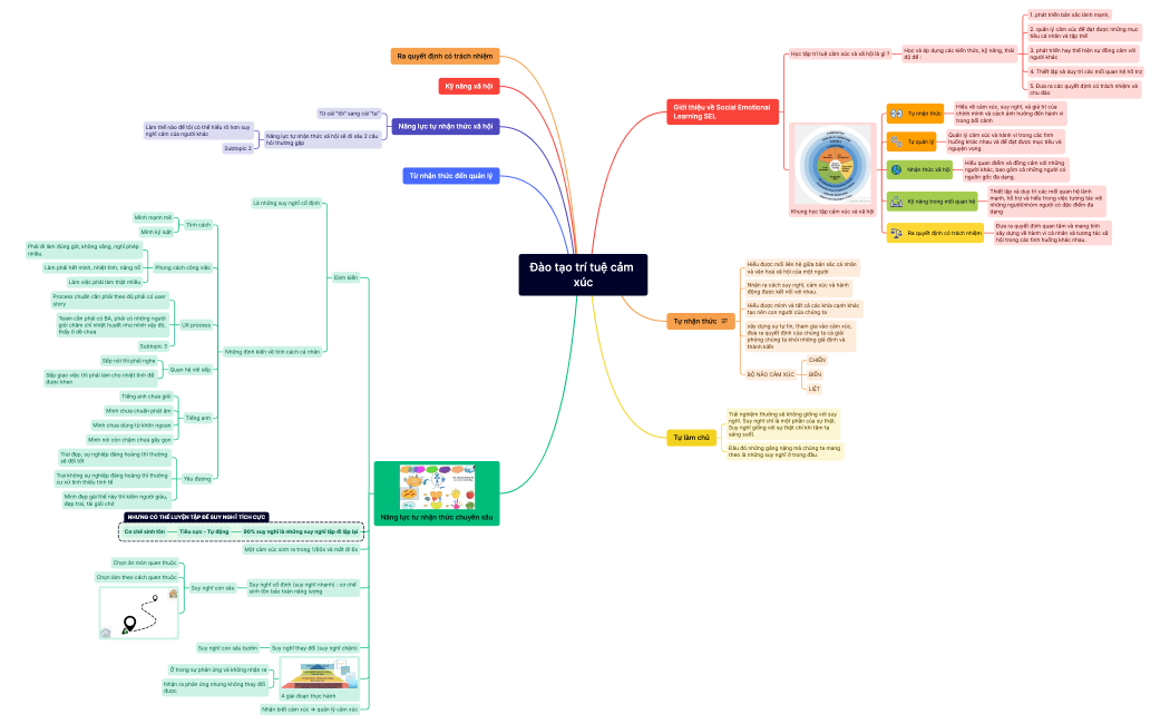 Đào tạo trí tuệ cảm xúc