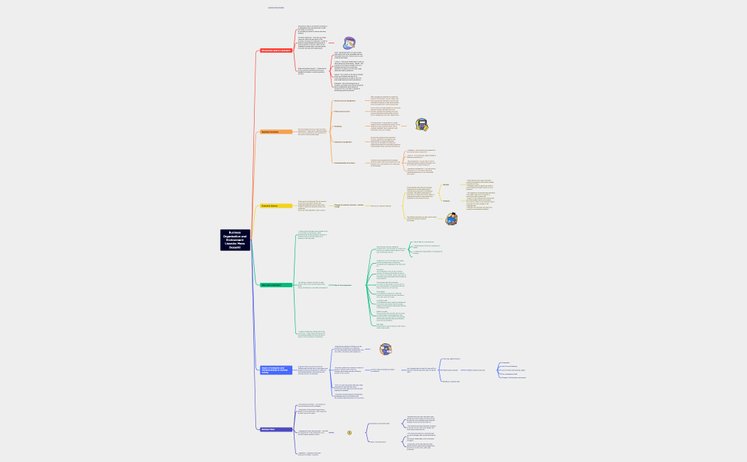 Business Organisation and Environment Lisandro Meza Dossetti 