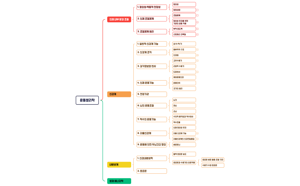 운동생리학 목차정리