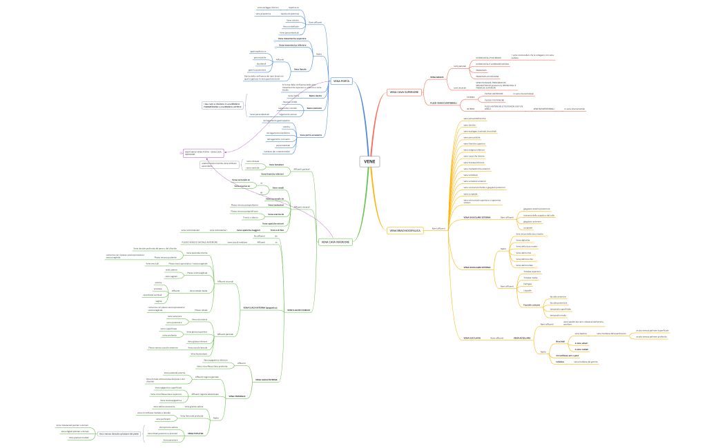 VENE.xmind