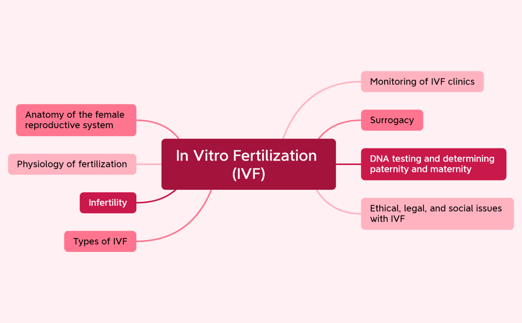 In Vitro Fertilization (IVF)