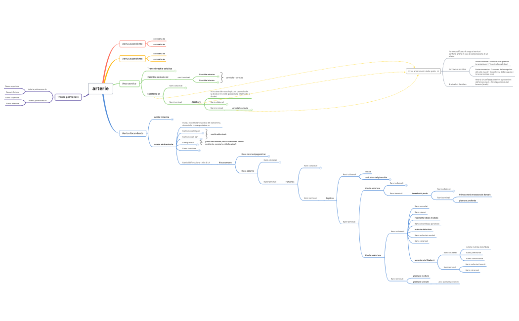 arterie.xmind