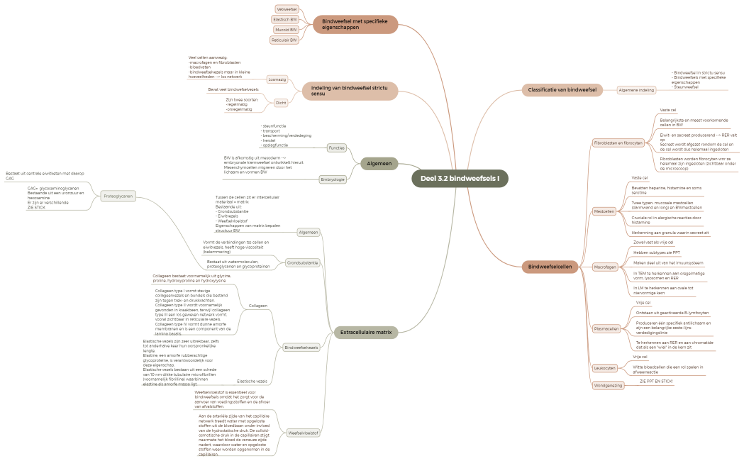 Deel 3.2 bindweefsel I