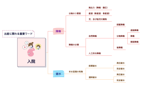 出産.キーワード　３xmind