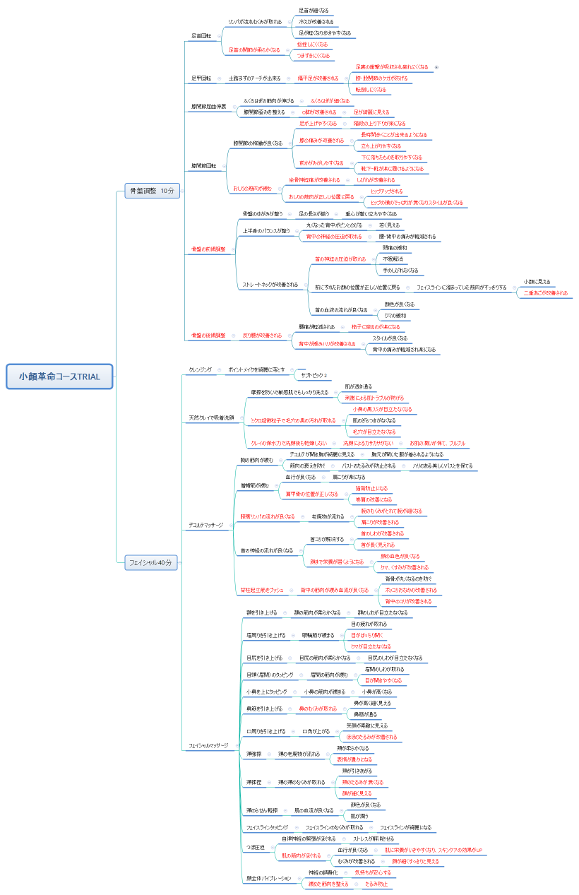 小顔革命コースTRIAL