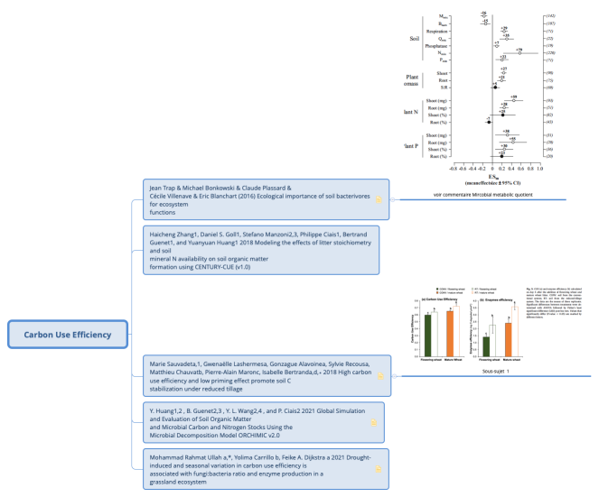 Carbon Use Efficiency