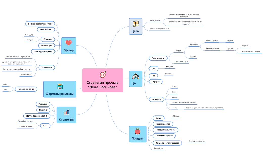 Стратегия проекта "Лена Логинова"