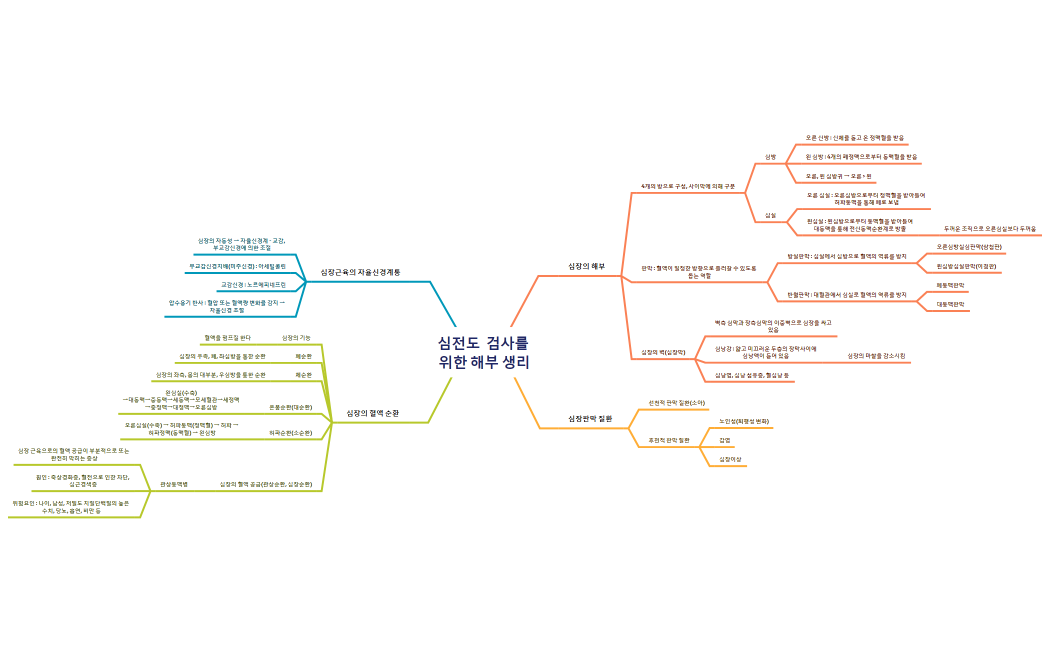 202101429 이정선_심전도 검사를 위한 해부 생리