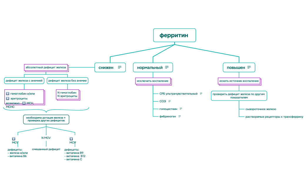 анемия алгоритм1