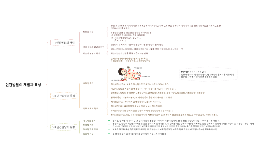 인간발달의 개념과 특성