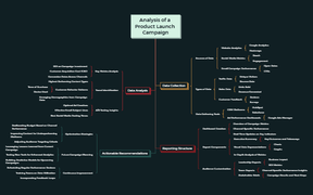 Analysis of a Product Launch Campaign