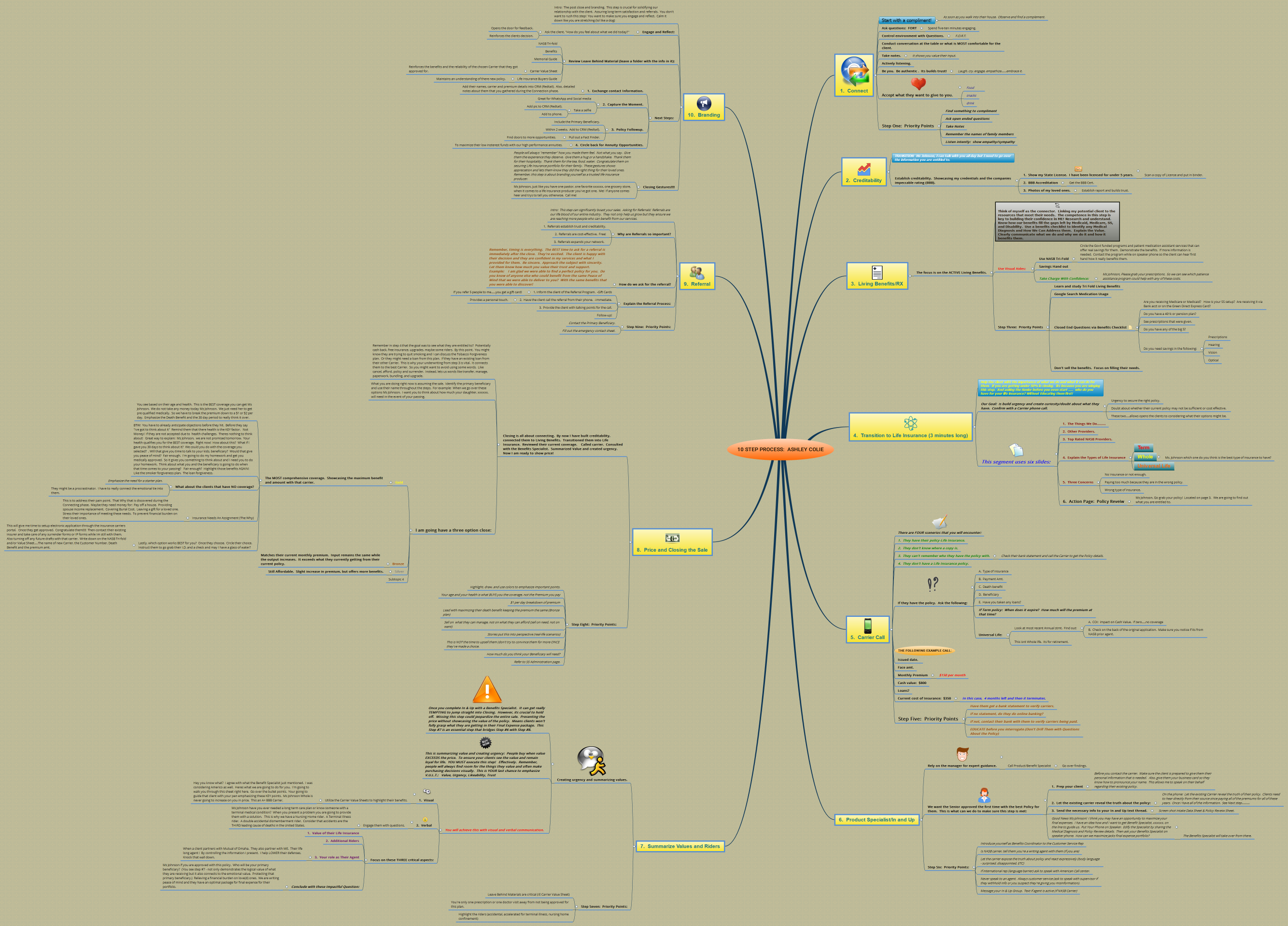 10 Step Process:  Ashley Colie