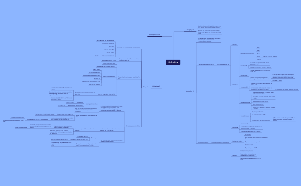 Linfocitos.xmind