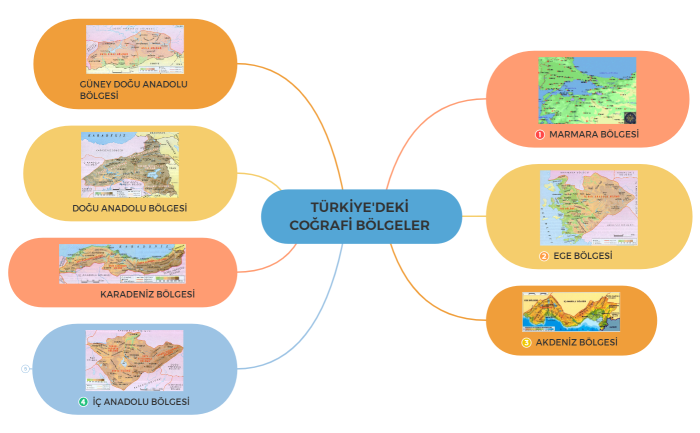 TÜRKİYE'DEKİ COĞRAFİ BÖLGELER 