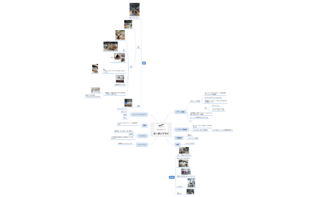 カーボンフライ01